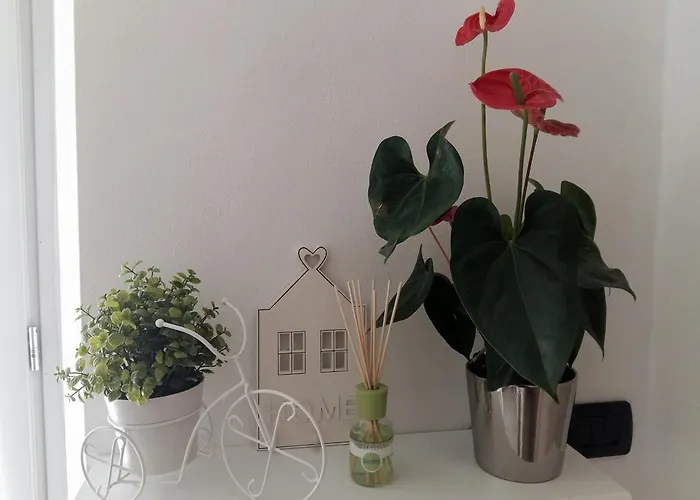 La Perla Sul Di Con Parcheggio Appartement *
